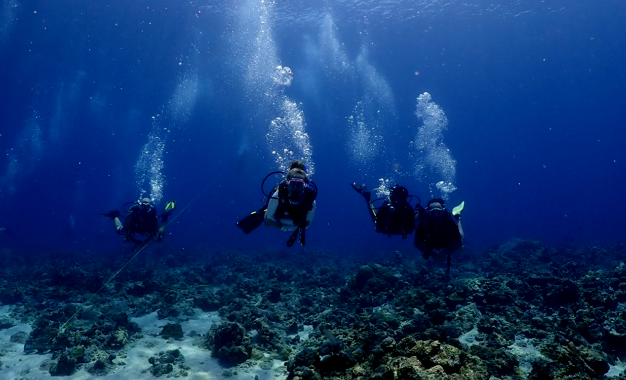 Scuba Diving